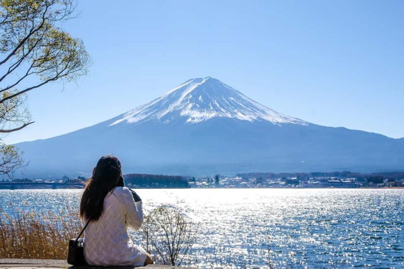 Tokyo: Mt. Fuji, Kamakura, Big Buddha, & Lake Ashi Day Trip - Practical Details: What to Prepare