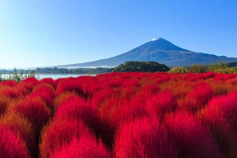 Tokyo: Mt. Fuji & Lake Kawaguchi 3-Row Luxury Bus 1-Day Tour - FAQs