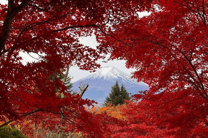 Tokyo: Mt.Fuji & Lake Kawaguchiko 1-Day Bus Tour w/Optional Lunch - Key Points