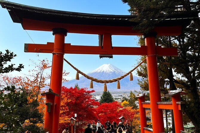 Tokyo: Mt.Fuji & Lake Kawaguchiko 1-Day Bus Tour w/Optional Lunch - What Do Travelers Say?