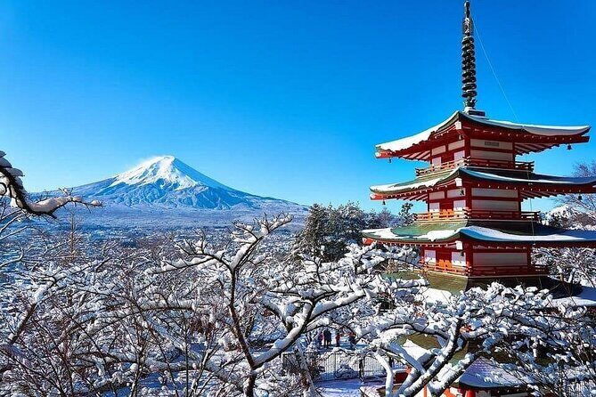 Tokyo: Mt. Fuji & Lake Kawaguchiko 1Day Bus Tour with Lunch - Authentic Insights from Travelers
