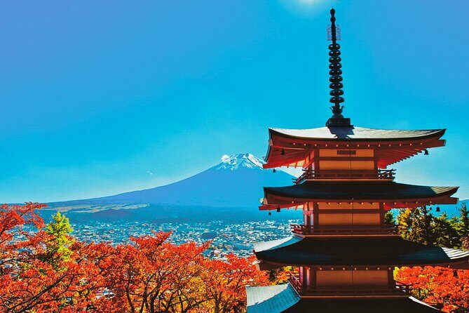 Tokyo: Mt. Fuji & Lake Kawaguchiko 1Day Bus Tour with Lunch - Who Would Benefit Most from This Tour?