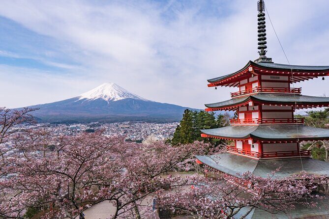 Tokyo: Mt. Fuji & Lake Kawaguchiko 1Day Bus Tour without Lunch - Key Points