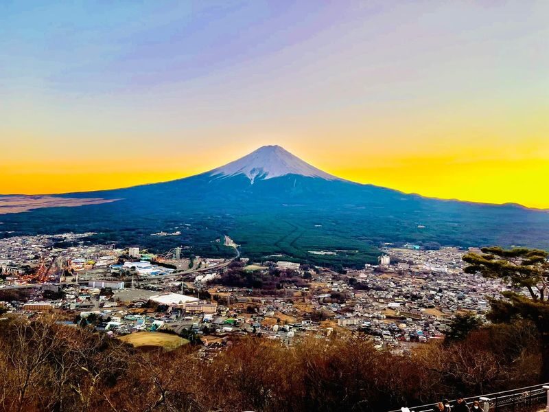 Tokyo Mt. Fuji & Lake Kawaguchiko Private Full-Day Tour - Your driver can shape the day