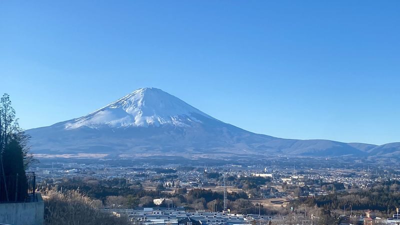 Tokyo Mt. Fuji & Lake Kawaguchiko Private Full-Day Tour - Keep the itinerary focused