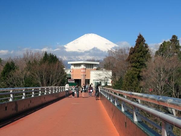 Tokyo Mt. Fuji & Lake Kawaguchiko Private Full-Day Tour - Weather can change what the day is worth
