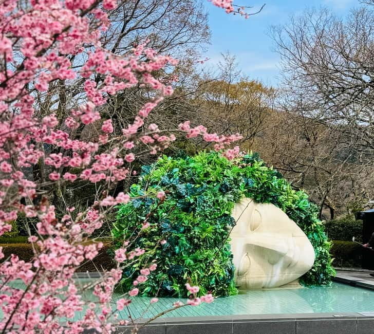 Tokyo: Mt. Fuji, Owakudani, Hakone Shrine, & Open-Air Museum - Exploring Hakone in a Day: What You Can Expect