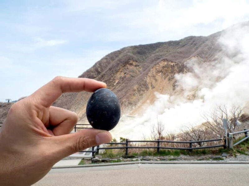 Tokyo: Mt. Fuji, Owakudani, Hakone Shrine, & Open-Air Museum - Final Thoughts