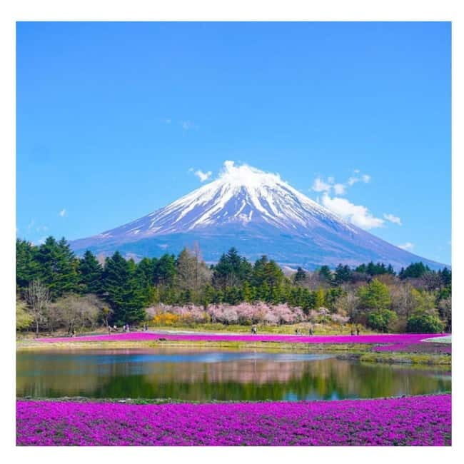 Tokyo: Mt Fuji Private Day Tour By English Driver Low Price - Exploring the Mount Fuji Private Day Tour: A Detailed Overview