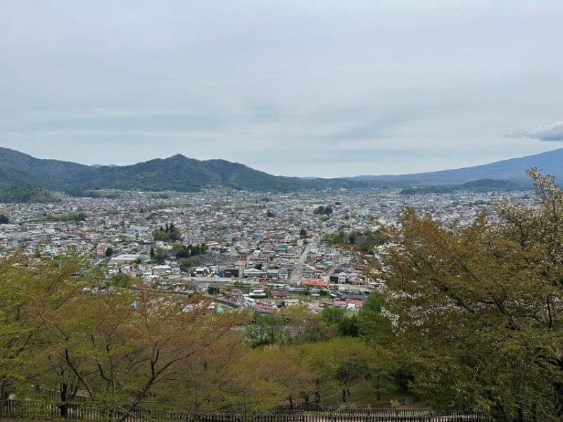 Tokyo: Mt. Fuji Private Tour with Kawaguchi lake - Possible Drawbacks or Considerations