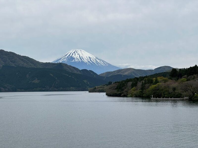 Tokyo: Mt. Fuji Private Tour with Kawaguchi lake - Final Thoughts