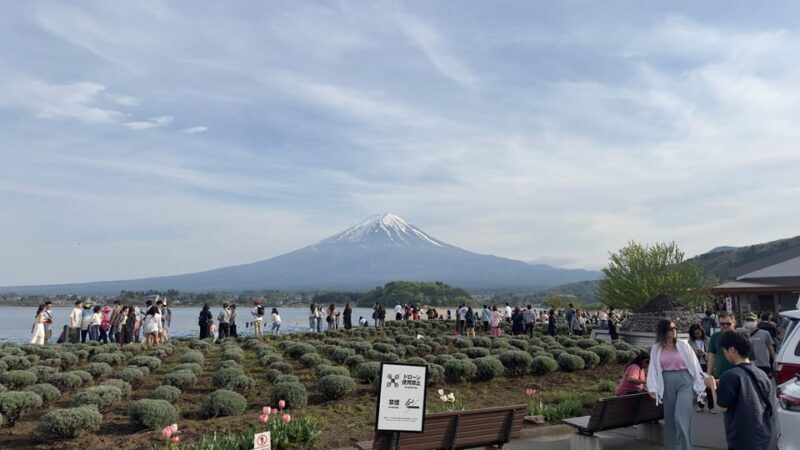Tokyo: Mt. Fuji Private Tour with Kawaguchi lake - FAQ