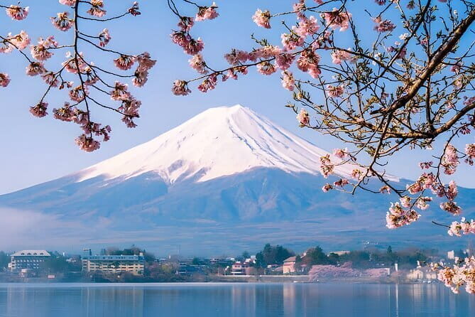 Tokyo Mt Fuji Trip with Kawaguchiko Ropeway and Matcha Tea - An In-Depth Look at the Tokyo Mt Fuji Trip with Kawaguchiko Ropeway and Matcha Tea