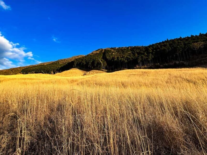 Tokyo: Mt. Fuji&HakoneDayTrip LakeKawaguchi,Kimono&Owakudani - Experience the Beauty of Japan on a Mt. Fuji & Hakone Day Trip