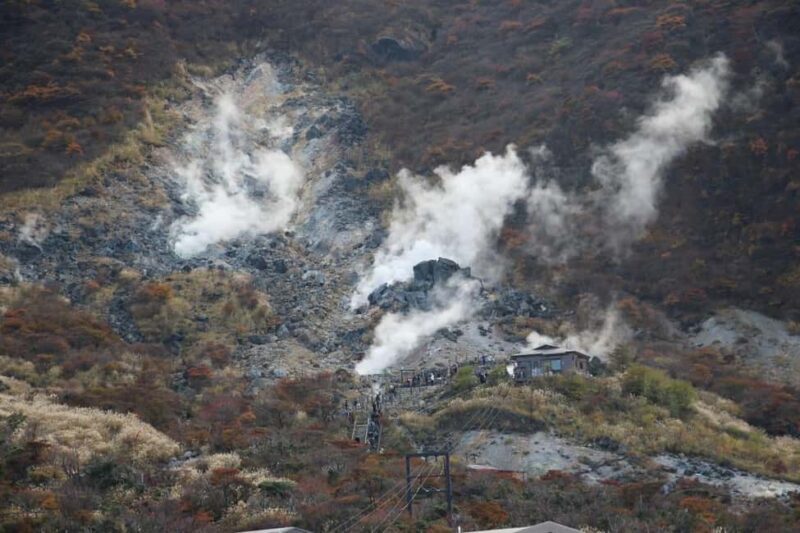 Tokyo: Mt. Fuji&HakoneDayTrip LakeKawaguchi,Kimono&Owakudani - Key Points