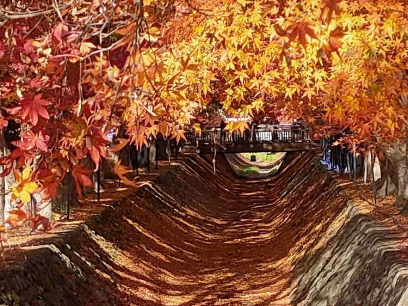 Tokyo: Mt. Fuji&HakoneDayTrip LakeKawaguchi,Kimono&Owakudani - The Transport and Timing: Why It Matters