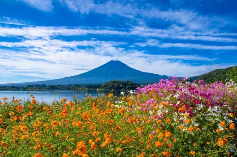Tokyo: Mt. Fuji&HakoneDayTrip LakeKawaguchi,Kimono&Owakudani - Authenticity and Value