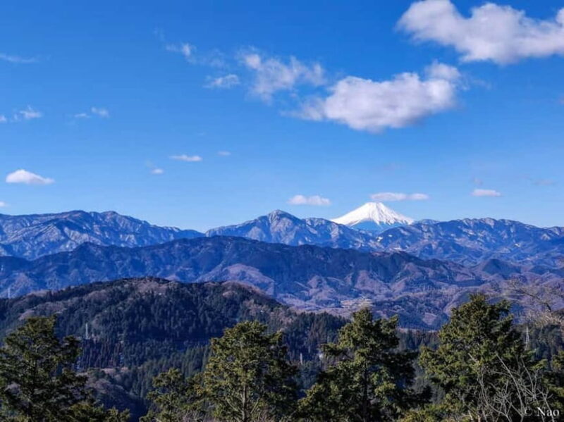 Tokyo: Mt. Takao Nature & Culture Hike with Private Guide - Tokyo: Mt. Takao Nature & Culture Hike with Private Guide