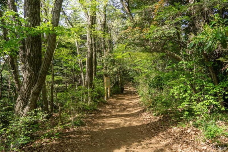Tokyo: Mt. Takao Nature & Culture Hike with Private Guide - Key Points