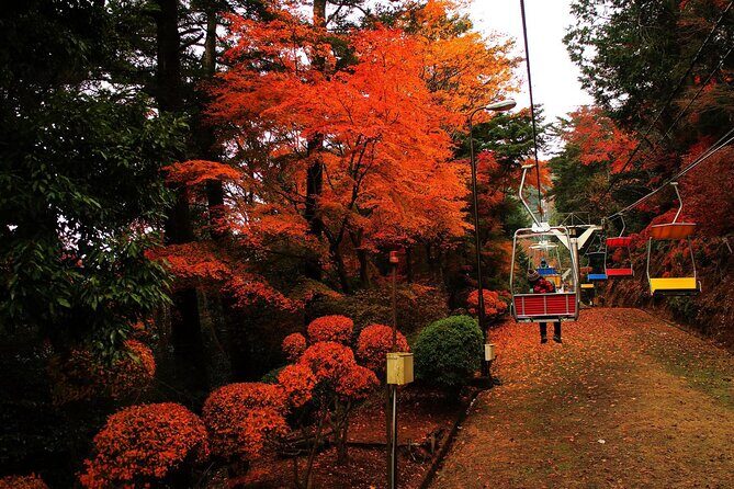 Tokyo: Mt. Takao Tour with Ramen and Tattoo-Okay Hot Spring - Key Points
