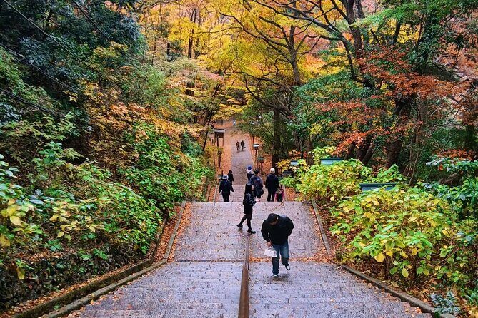Tokyo: Mt. Takao Tour with Ramen and Tattoo-Okay Hot Spring - Sacred Trees and Wildlife Encounters