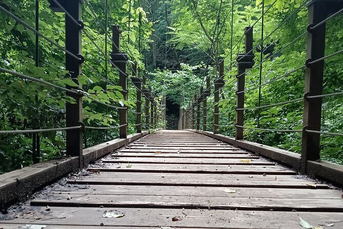 Tokyo: Mt. Takao Tour with Ramen and Tattoo-Okay Hot Spring - Visiting Yakuo-in Temple: Spiritual Depth