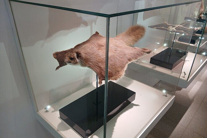 Tokyo: Mt. Takao Tour with Ramen and Tattoo-Okay Hot Spring - Mt. Fuji Views from the Peak