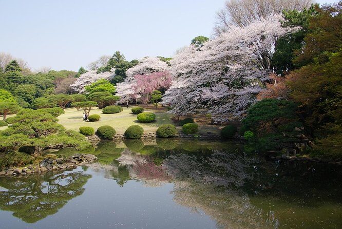 Tokyo Must See Top Hidden Gems In One Day - Key Points