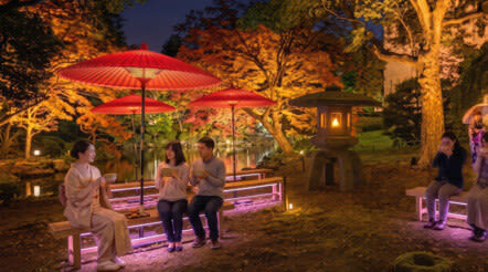 Tokyo National Museum Ticket - Make time for more than one gallery