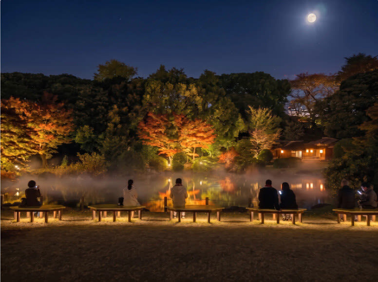 Tokyo National Museum Ticket - Optional ZEN NIGHT TOKYO after the galleries