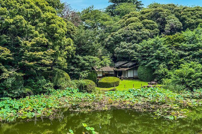 Tokyo National Museum & Ueno Park Private guided tour - An In-Depth Look at the Tokyo National Museum & Ueno Park Tour