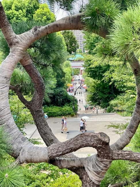 Tokyo: National Museum & Ukiyoe History Private Tour in Ueno - FAQs