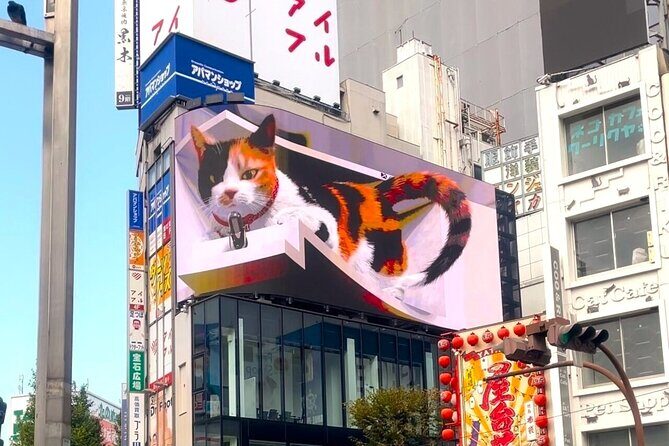 Tokyo Night Cat Tour: Cat Bookstore, Shinjuku Cat Cafe & 3D Cat - Who Should Consider This Tour?