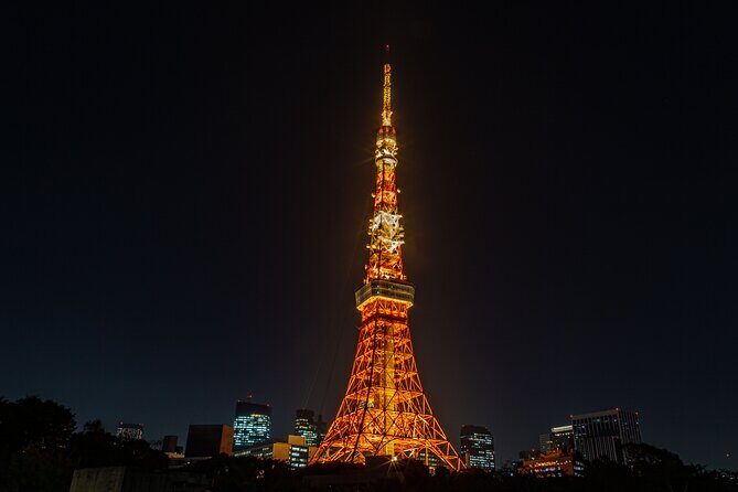 Tokyo Night E-Bike Tour with Tokyo Tower and Dolphin Show - How the Tour Unfolds