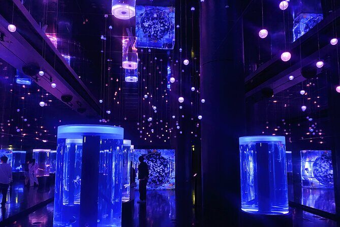 Tokyo Night E-Bike Tour with Tokyo Tower and Dolphin Show - The Sum Up