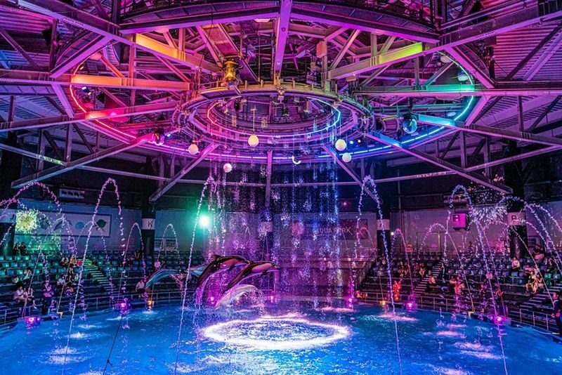 Tokyo: Night Electric Bike Tour with Tokyo Tower and Dolphin Show - A three-hour Tokyo evening on two wheels