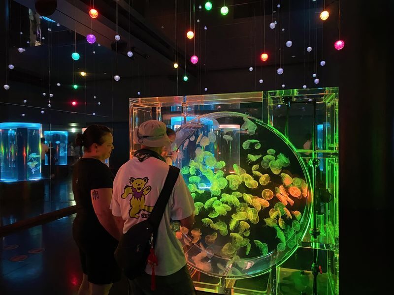 Tokyo: Night Electric Bike Tour with Tokyo Tower and Dolphin Show - Sengaku-ji and a moving view of Tokyo