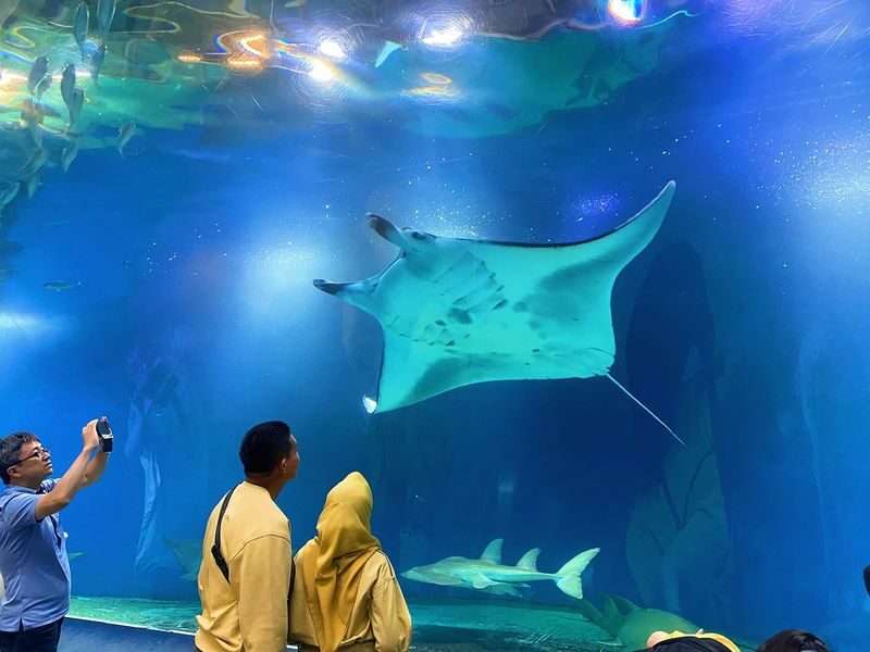 Tokyo: Night Electric Bike Tour with Tokyo Tower and Dolphin Show - A snack stop in Azabujuban