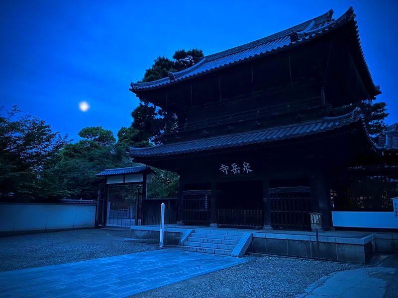 Tokyo: Night Electric Bike Tour with Tokyo Tower and Dolphin Show - Zojo-ji and Tokyo Tower after dark