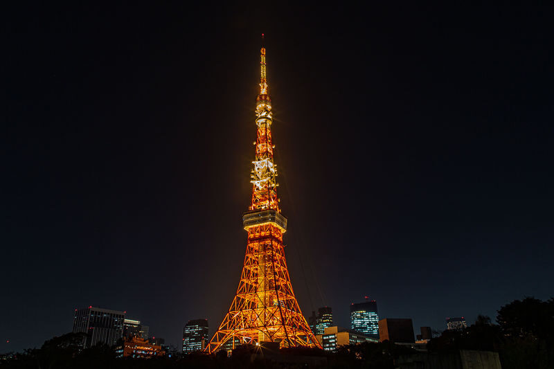 Tokyo: Night Electric Bike Tour with Tokyo Tower and Dolphin Show - Booking details worth knowing