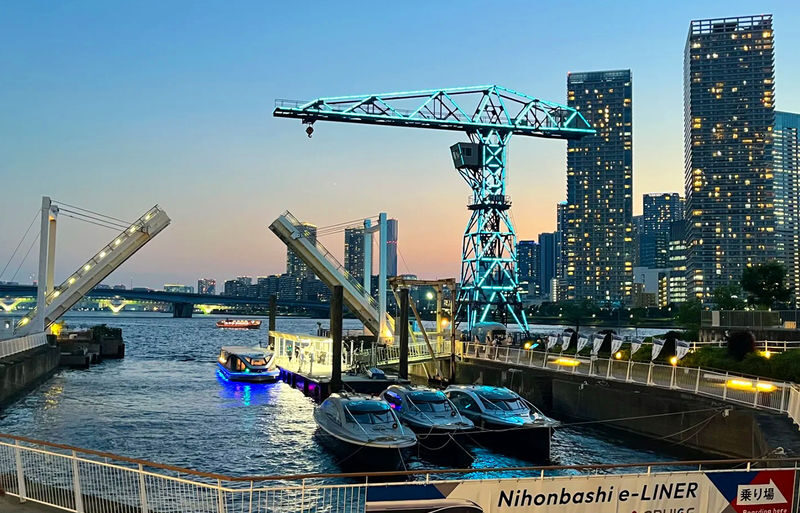 Tokyo Night Scenery Cruise: Nihonbashi Water Bus, Toyosu Seaside LaLaport, Tokyo Tower Bright Night Scenery Day Tour - Who should consider this outing?