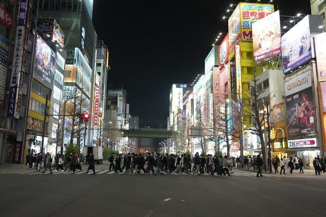 Tokyo Night Tour Akihabara, Shibuya, Karaoke and City Lights - Practical Details: Transportation, Cost, and Group Size