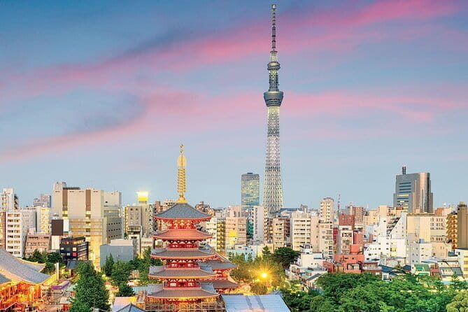 Tokyo Night Tour Customizable - The Practicalities: Transportation, Timing, and Value