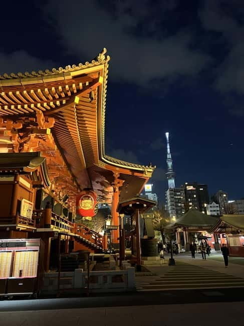 Tokyo Night Tour - An In-Depth Look at the Tokyo Night Tour