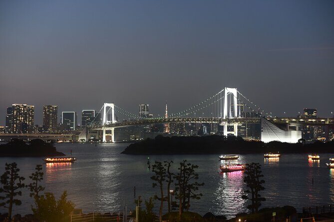 Tokyo Night View Guided Tour with Private Car and Driver - Key Points