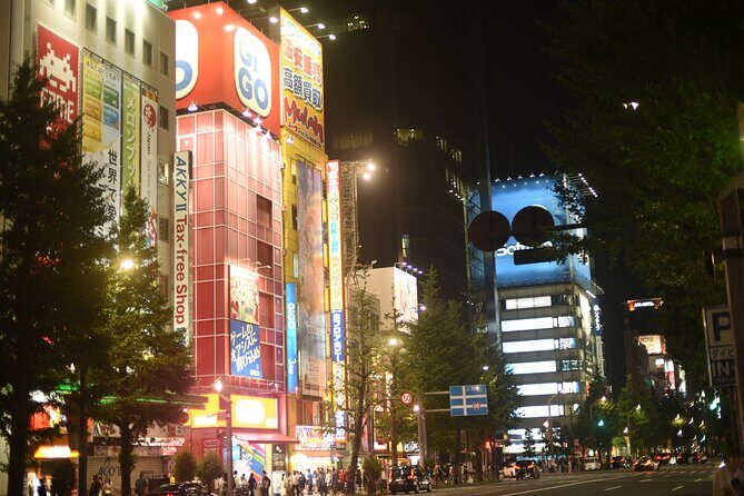 Tokyo Night View Guided Tour with Private Car and Driver - Who Should Consider This Tour?