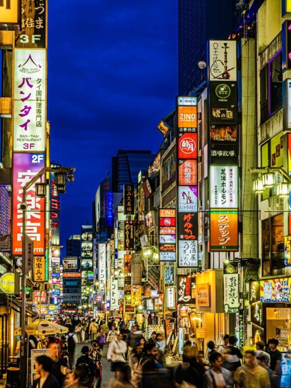 Tokyo Night View Private Half-Day Tour - Key points before you book