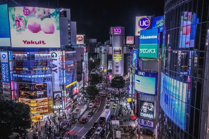 Tokyo Night View Private Half-Day Tour - What the driver can add to the evening