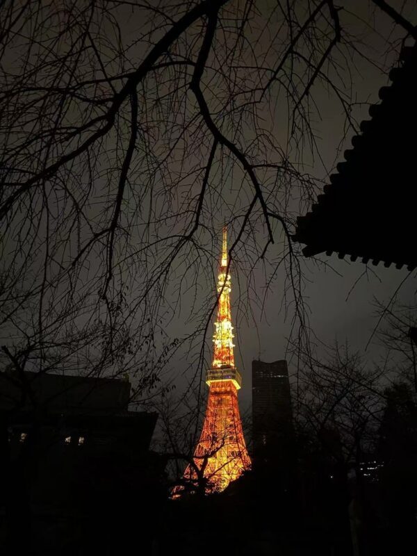 Tokyo Night View Private Half-Day Tour - The route is the big question