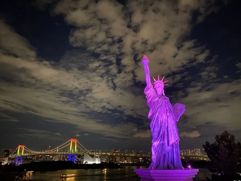 Tokyo Night View Private Half-Day Tour - Is $346.99 good value?